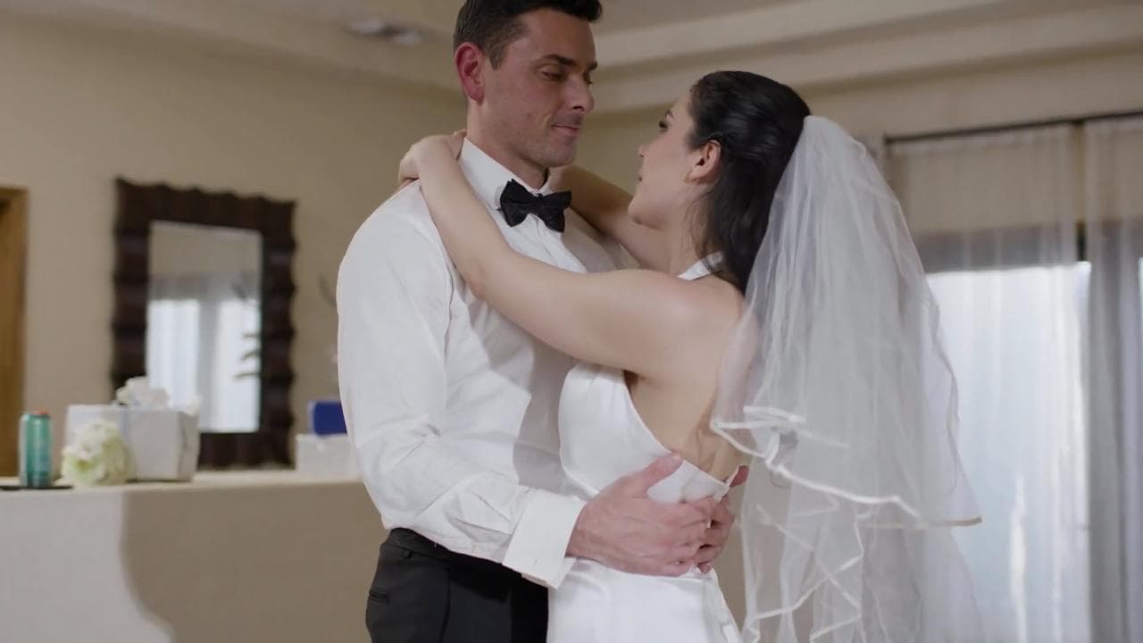 Adult Making love on the wedding night